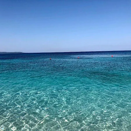 فيلة Ermali