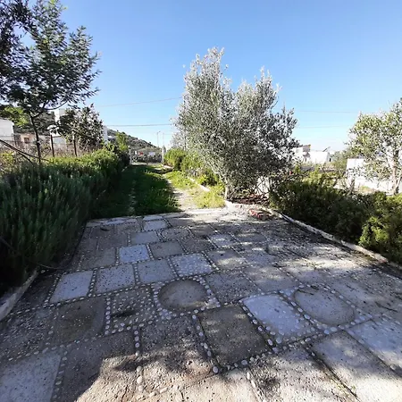 Ermali * קסאמיל